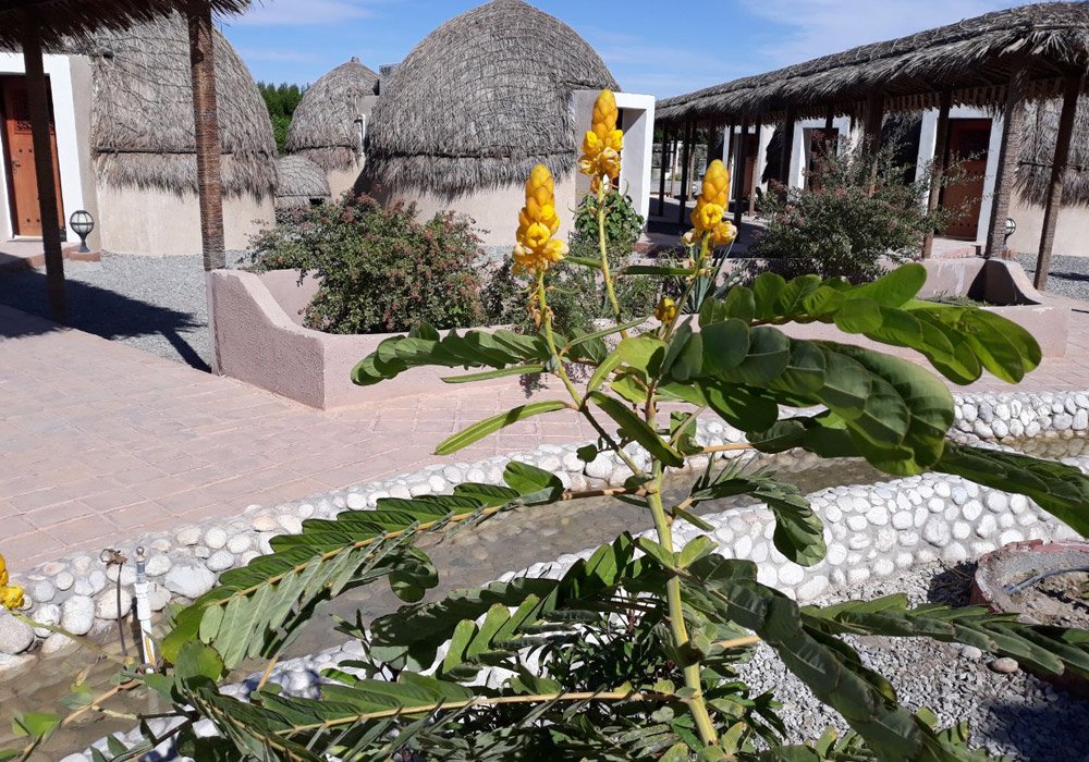 نیروگاه قلع گنج
